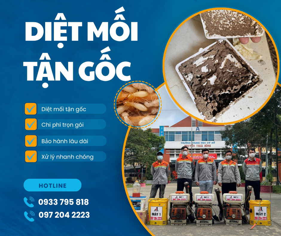 Diệt Mối Tận Gốc Uy Tín – Xử Lý Triệt Để 100%